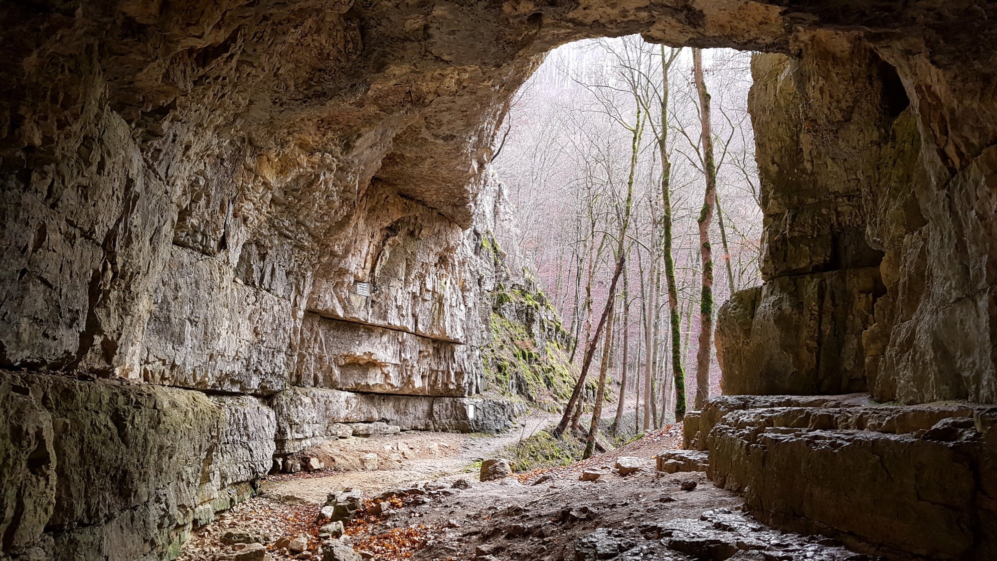 Eingangsportal der Falkensteiner Höhle